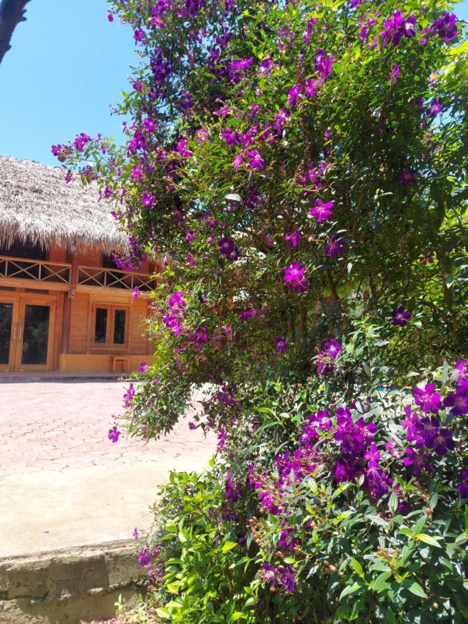 Flower Hmong Homestay Bac Ha  Εξωτερικό φωτογραφία