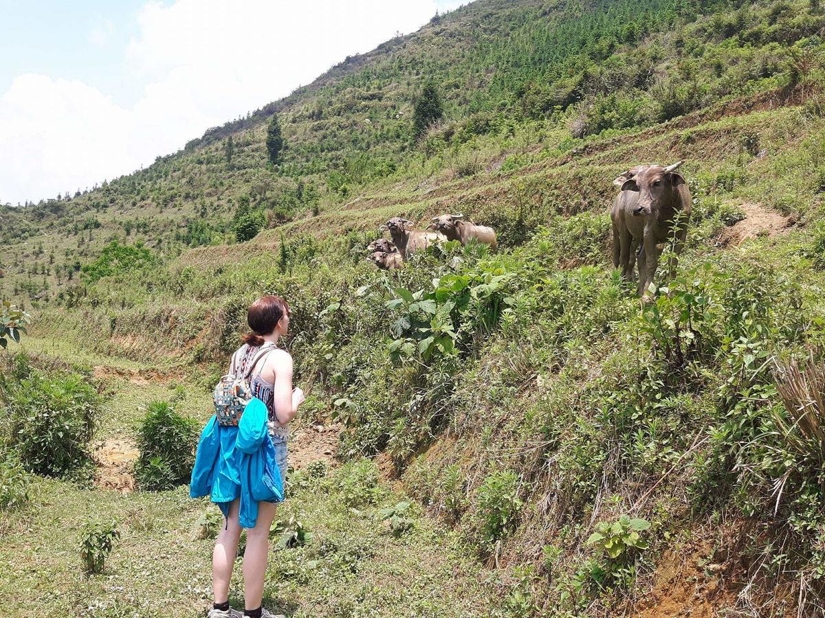 Flower Hmong Homestay Bac Ha  Εξωτερικό φωτογραφία