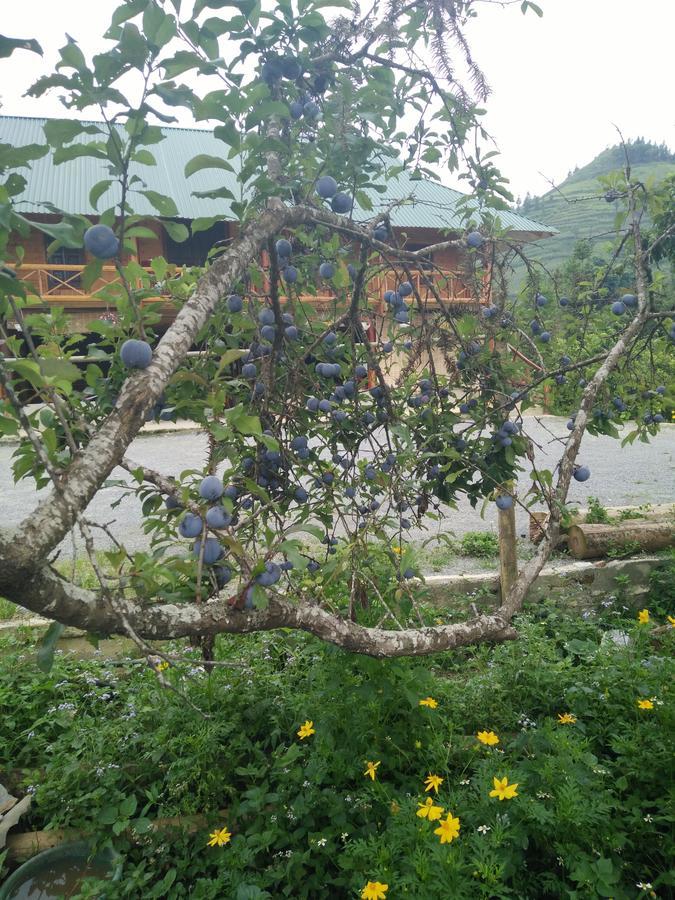 Flower Hmong Homestay Bac Ha  Εξωτερικό φωτογραφία