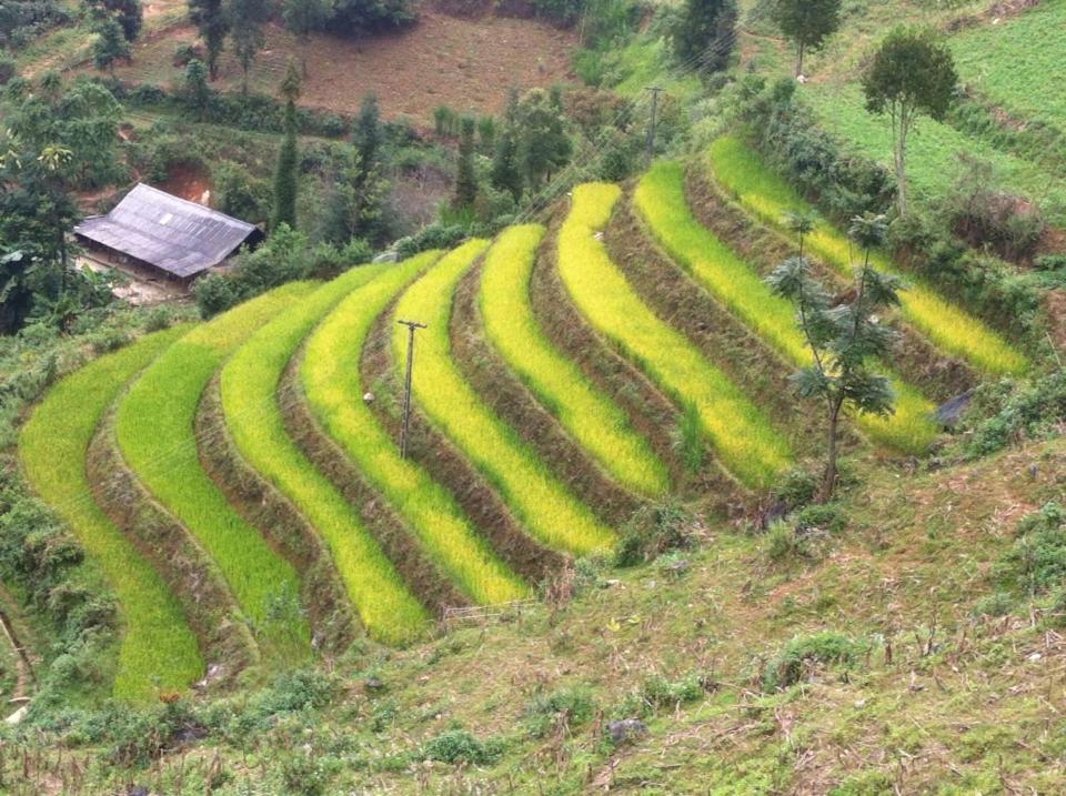 Flower Hmong Homestay Bac Ha  Εξωτερικό φωτογραφία