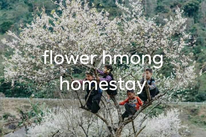 Flower Hmong Homestay Bac Ha  Εξωτερικό φωτογραφία